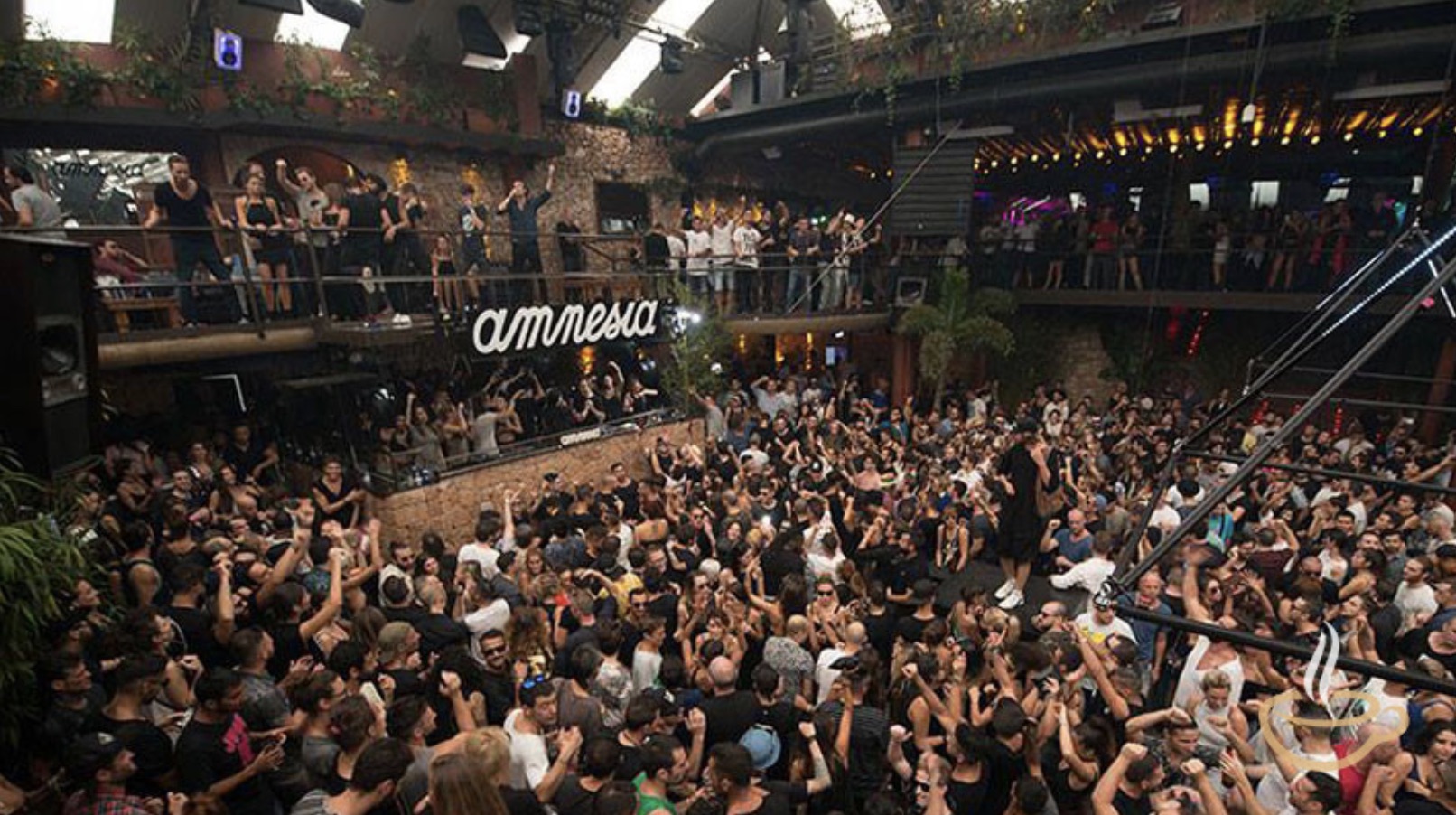 Amnesia VIP